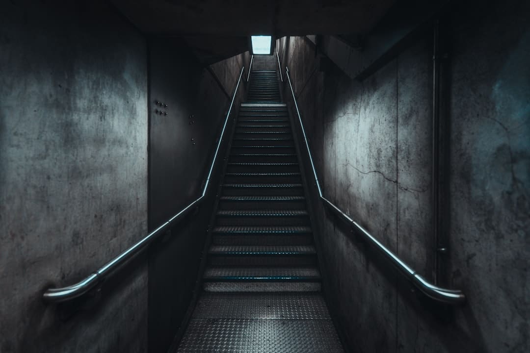 宇树科技IPO定档 概念龙头股创新高！杠杆资金加仓这些潜力股